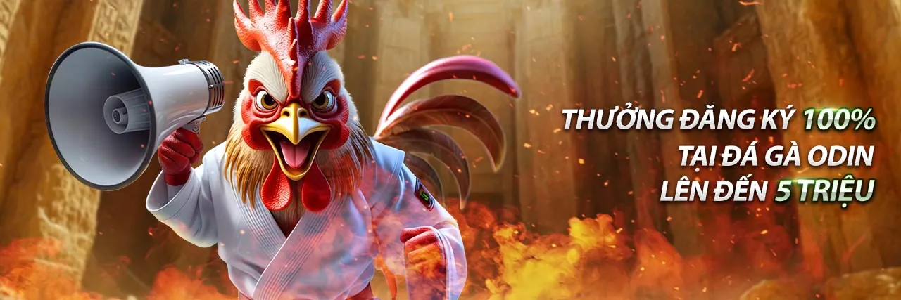 Khuyến mãi Bomwin 2026 độc quyền