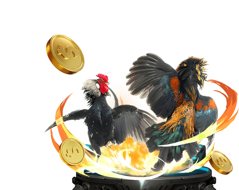 Các quy tắc chung của Bomwin để đảm bảo môi trường cá cược công bằng